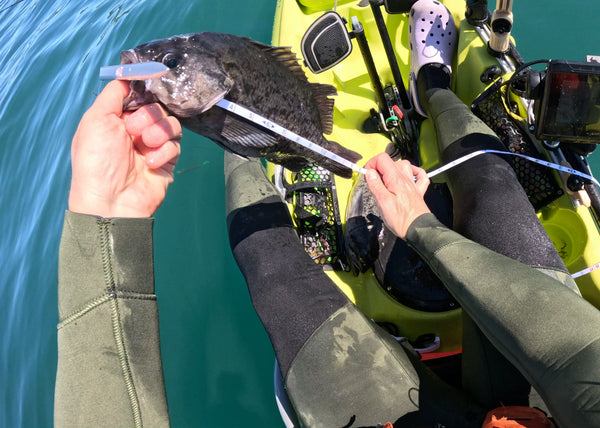 The Measuring Stringer - 16ft