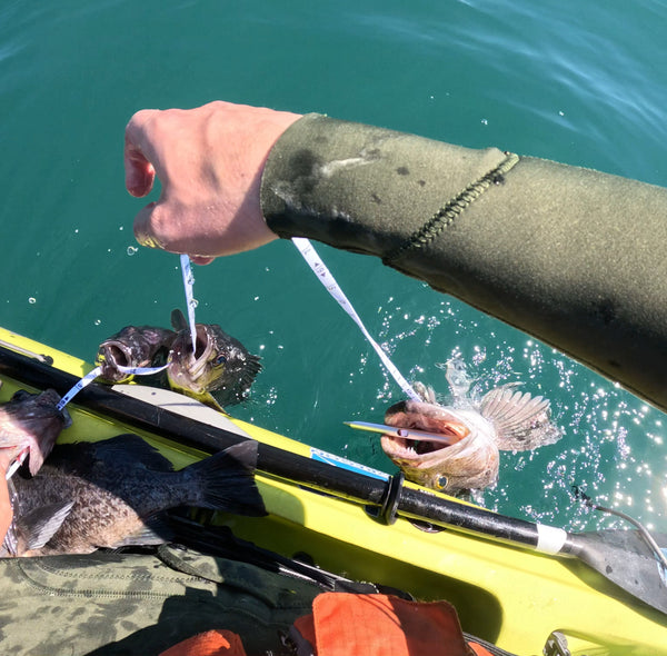 The Measuring Stringer - 16ft